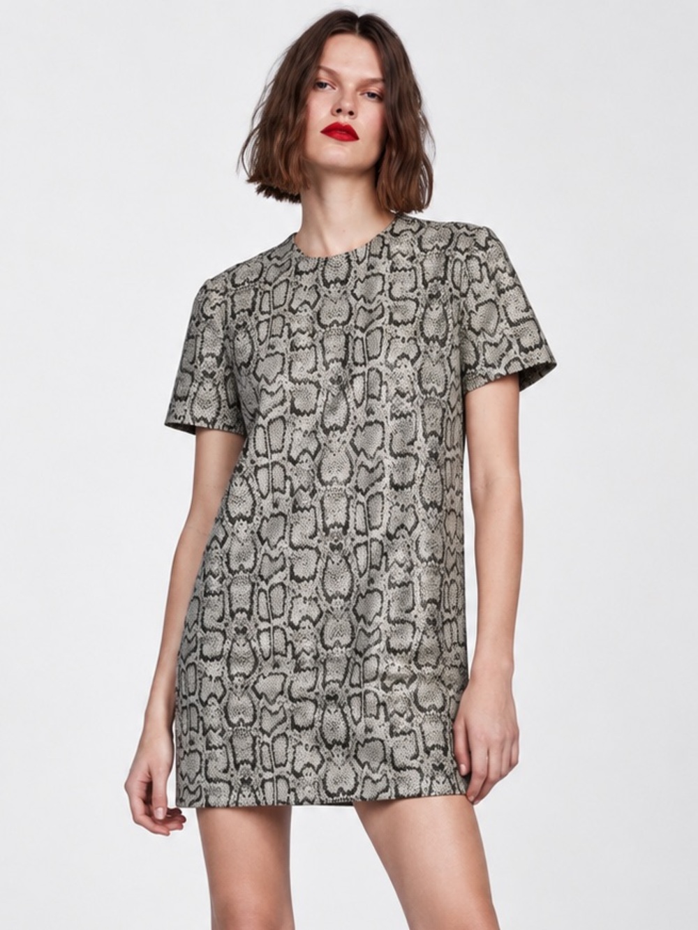 Zara Snake Print Jacquard Short Sleeve Shift Dress